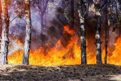 Fires destroy Hewlett Packard's 79-year history