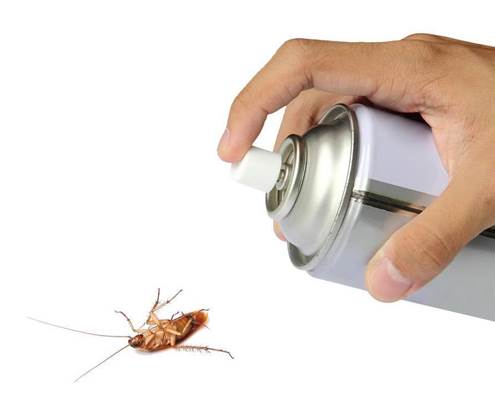 Microsoft launches bug bounty for Office previews