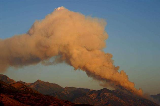 Tech investments pay dividends for bushfire relief