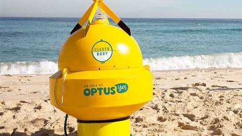 NSW Govt to trial IoT tech to monitor sharks