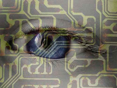 Parliament Committee finds flaws in Cybercrime Bill