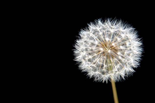 DHS expands IT jobs program for young people with autism