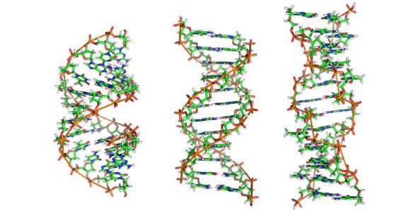 Curtin trials DNA sequencing in Azure