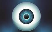 Melbourne scientists ready 2013 bionic eye trial