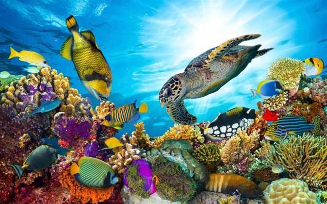 Researchers prepare to wade through an ocean of data