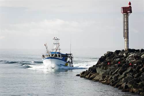 Vic Govt overhauls mining, fisheries IT systems