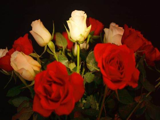 SAP primes enterprise for front-end shift