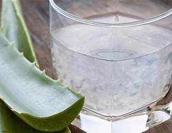 Why Is Everyone Suddenly Drinking Aloe Juice?