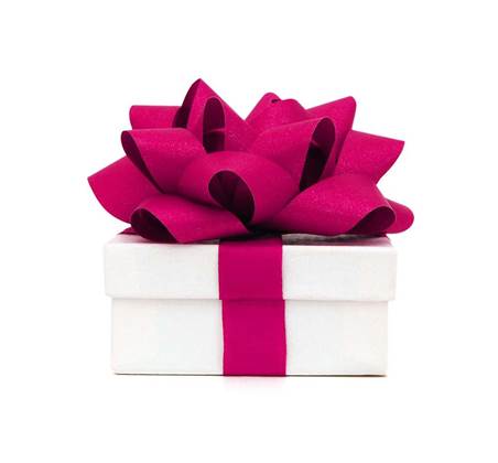 MacTel tops political IT donors list