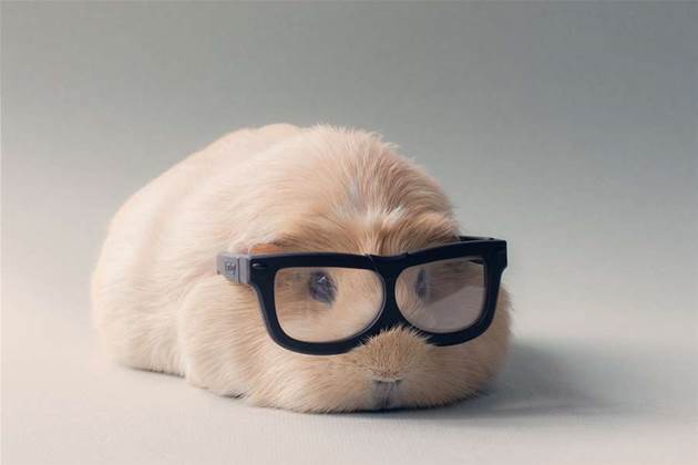 Agencies to become tech guinea pigs in NSW