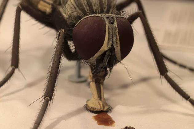 Google doubles reward for security bug hunters