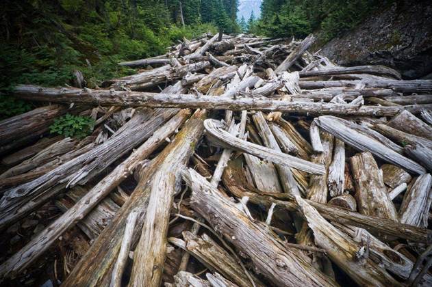 LogJam leaves browsers vulnerable to MiTM attack