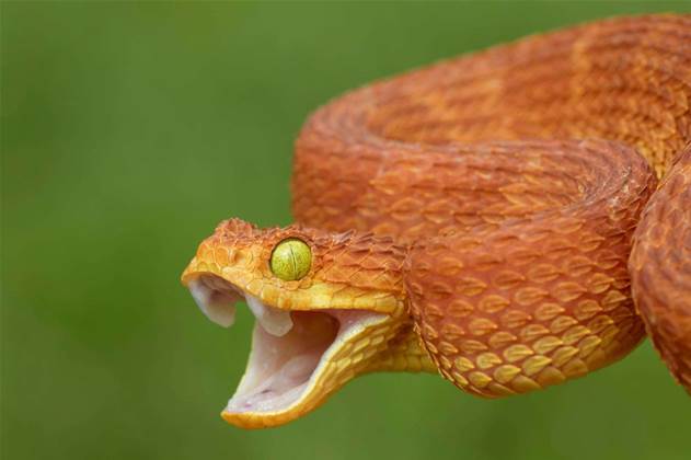 EMC releases first open source offering