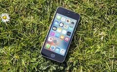 iPhone SE review: Apple&#8217;s best bargain?