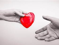 I Donated A Kidney To A Stranger At Age 51 And It Changed The Course Of My Life