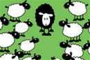 Firesheep killer BlackSheep launched