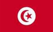 Anonymous takes on Tunisian Government