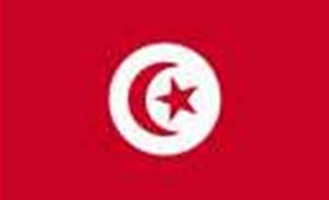 Anonymous takes on Tunisian Government