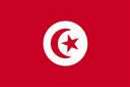 Anonymous takes on Tunisian Government