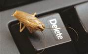 Microsoft to publish third-party bugs