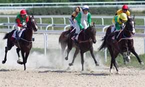 Centrebet deploys app integration platform