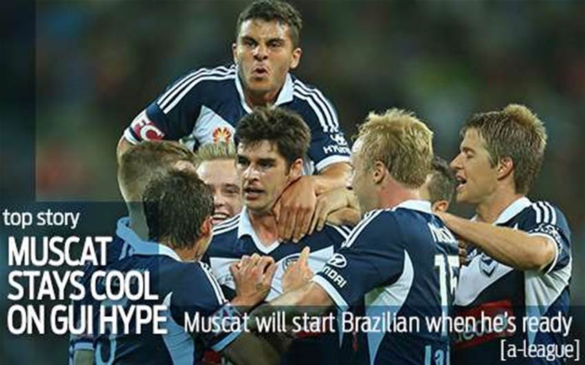 Muscat: Gui is delivering Muscat: Gui is delivering