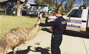 Northern Territory cops get body worn video