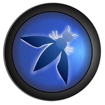 OWASP Top 10 released for 2013