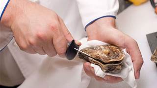 Govt funds boost oyster farming IoT venture