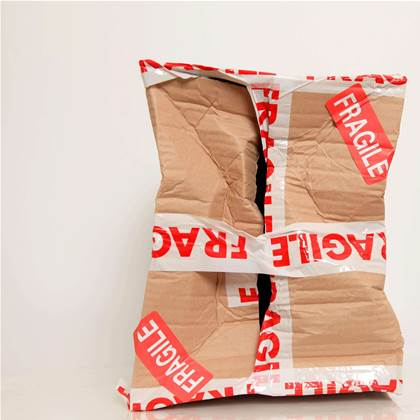 AusPost not threatened by eBay, Woolies match-up