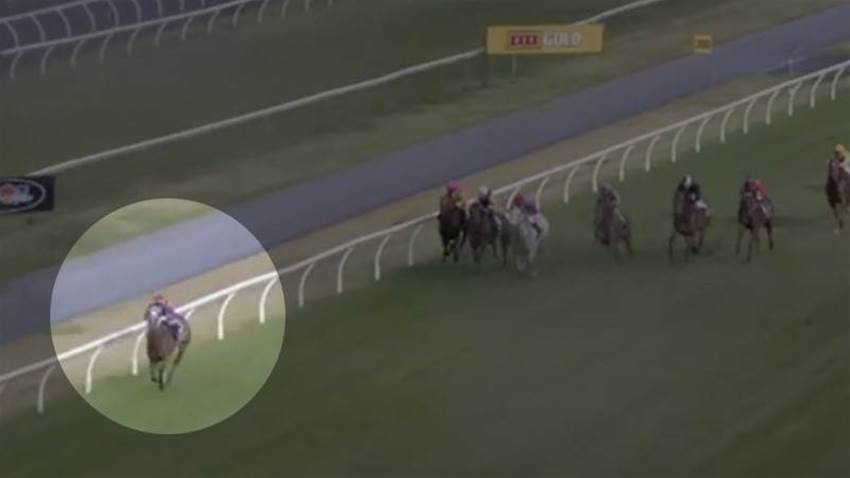 Horse 'Party Til Dawn' tests positive to ice Horse 'Party Til Dawn' tests positive to ice