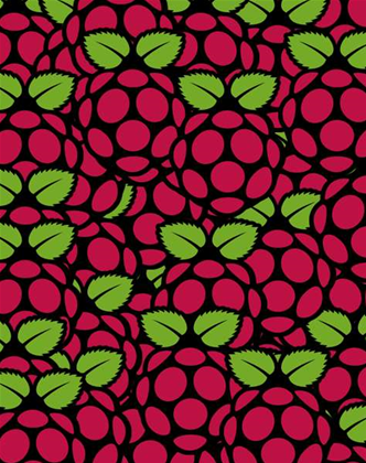 Pen testing with single board computers