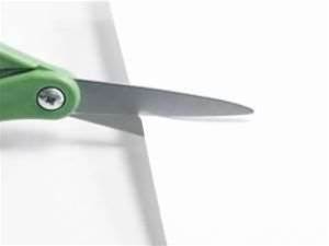 Key suppliers cut IT graduate programs