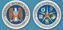 US anti-espionage show case shot down