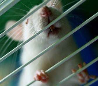 McAfee says nothing shady about Shady RAT