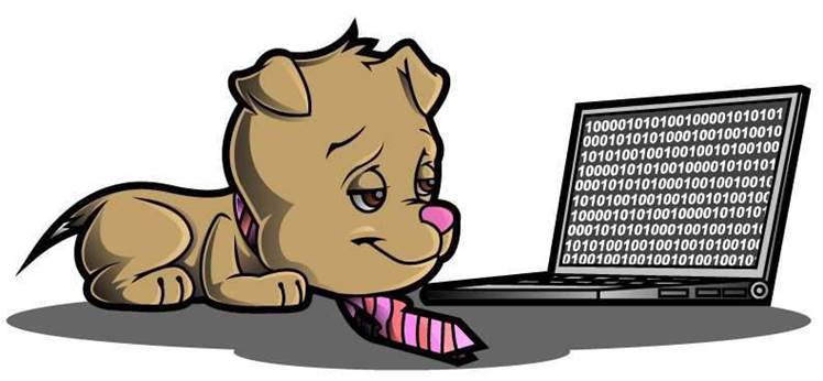 Netflix releases Sleepy Puppy anti-XSS tool