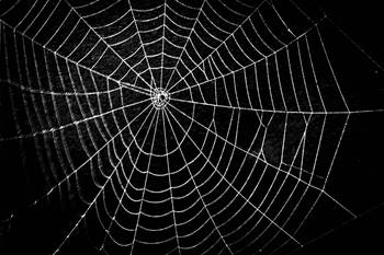 Energy Australia's 'spiderweb' systems problem