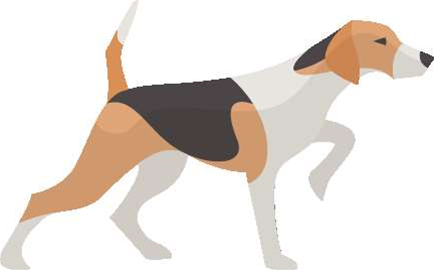 Apache unleashes Spot, the open source cyber security project