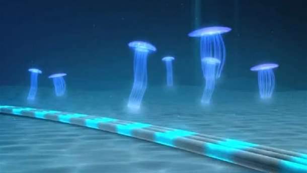 Senate votes to protect domestic submarine cables