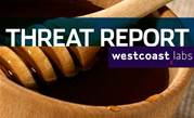 Threat Report: No rest for the wicked