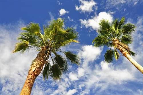 Darwin company opens 'tropical cloud'