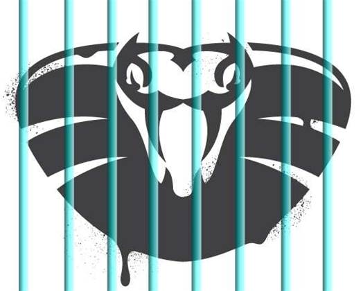 Defanging Venom hypervisor attacks 'easy': researcher