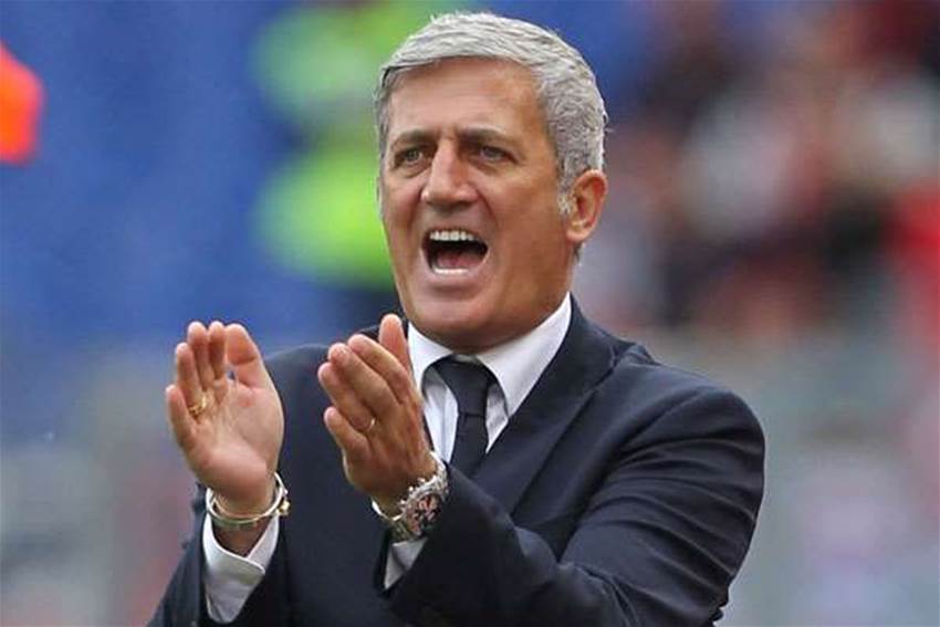 No offer for Petkovic, say Lazio No offer for Petkovic, say Lazio