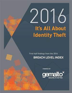 Breach Level Index Report