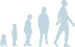 Evolution of the species