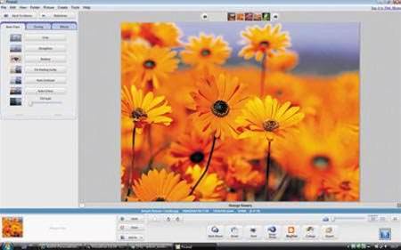 Picasa and Flash become latest spam tools