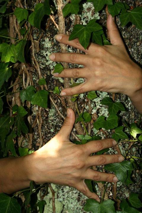 Green virtualisation: No tree hugging required