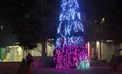 Photos: A Wi-Fi enabled Christmas Tree