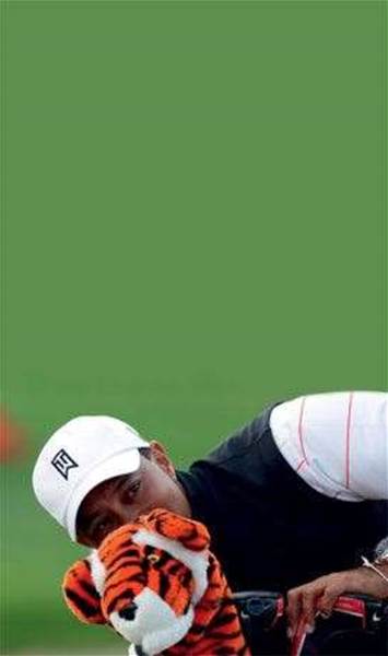 Tiger Economy Tiger Economy