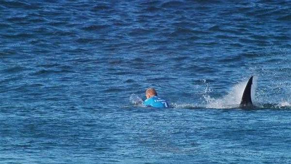 Mick Fanning ... and other champions of Aussie sport